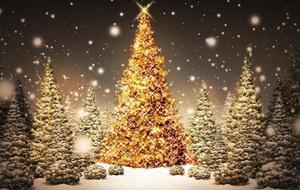 Jeu de Noël